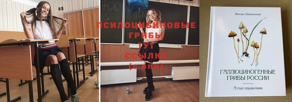 дживик Алексеевка