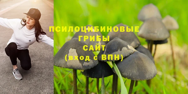 дживик Алексеевка